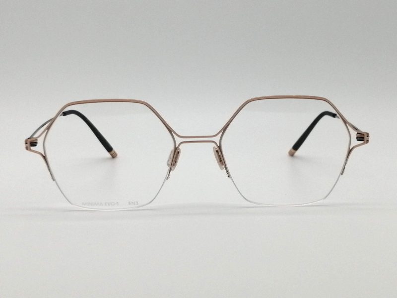 Modelo EVO-1 de MINIMA
