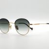 Modelo Gobi de Eyepetizer - Imagen 2