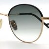 Modelo Gobi de Eyepetizer - Imagen 3